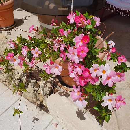 Fenetre Sur Les Alpilles Bed and Breakfast Saint-Martin-de-Crau Buitenkant foto