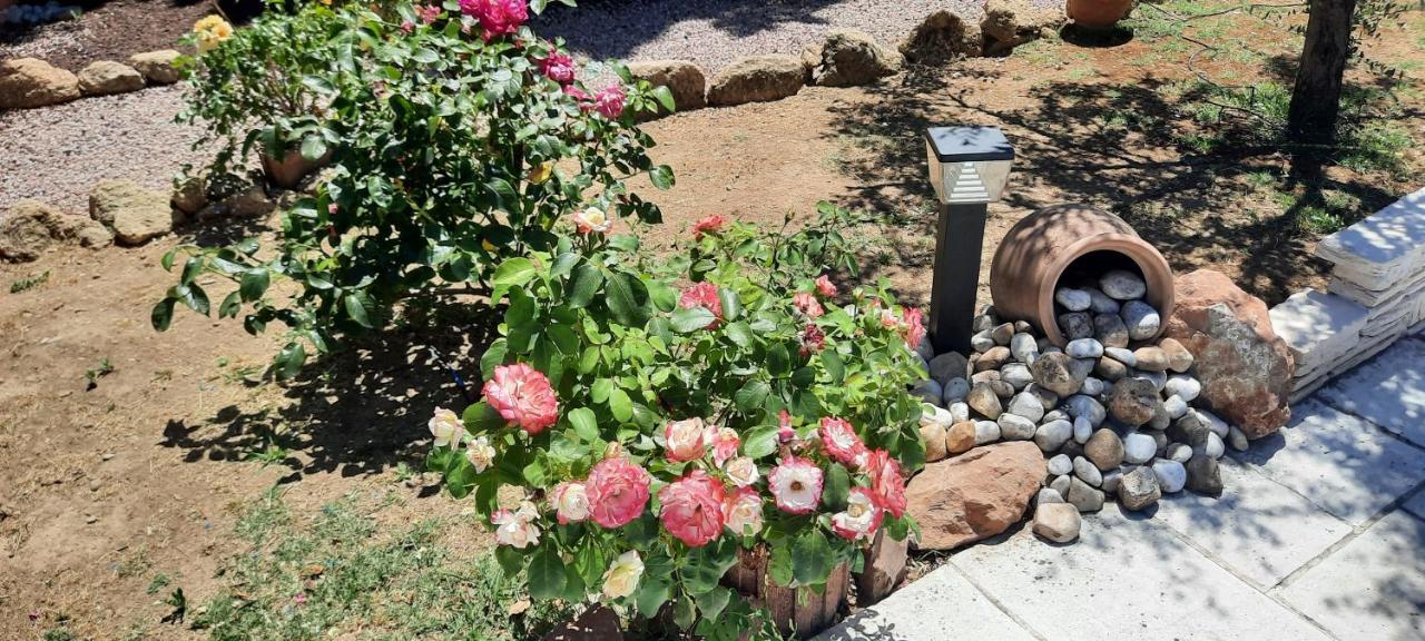 Fenetre Sur Les Alpilles Bed and Breakfast Saint-Martin-de-Crau Buitenkant foto