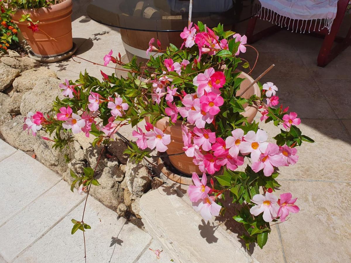 Fenetre Sur Les Alpilles Bed and Breakfast Saint-Martin-de-Crau Buitenkant foto